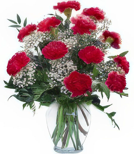 Red Carnation Delight